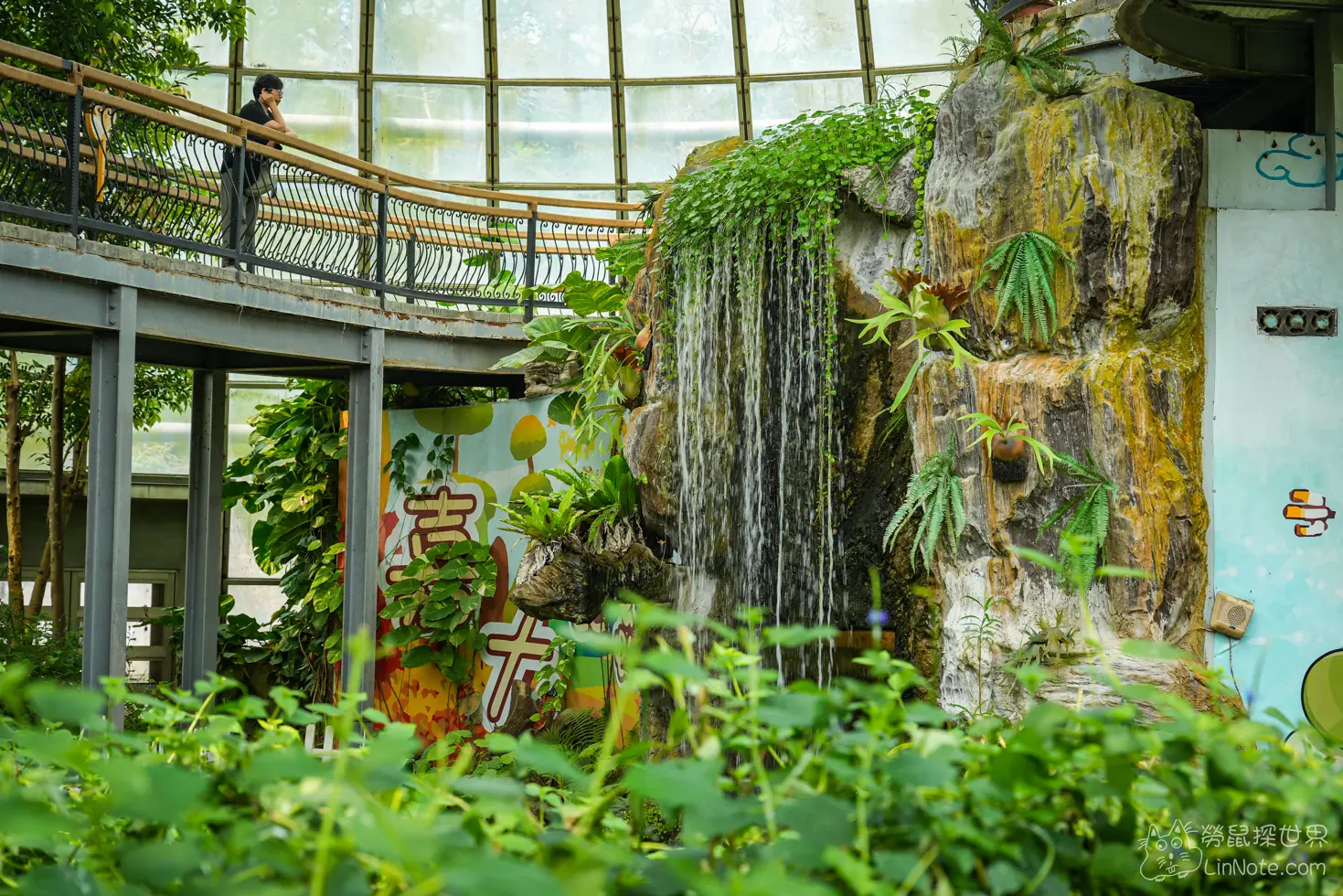 Ncyu insect museum 41