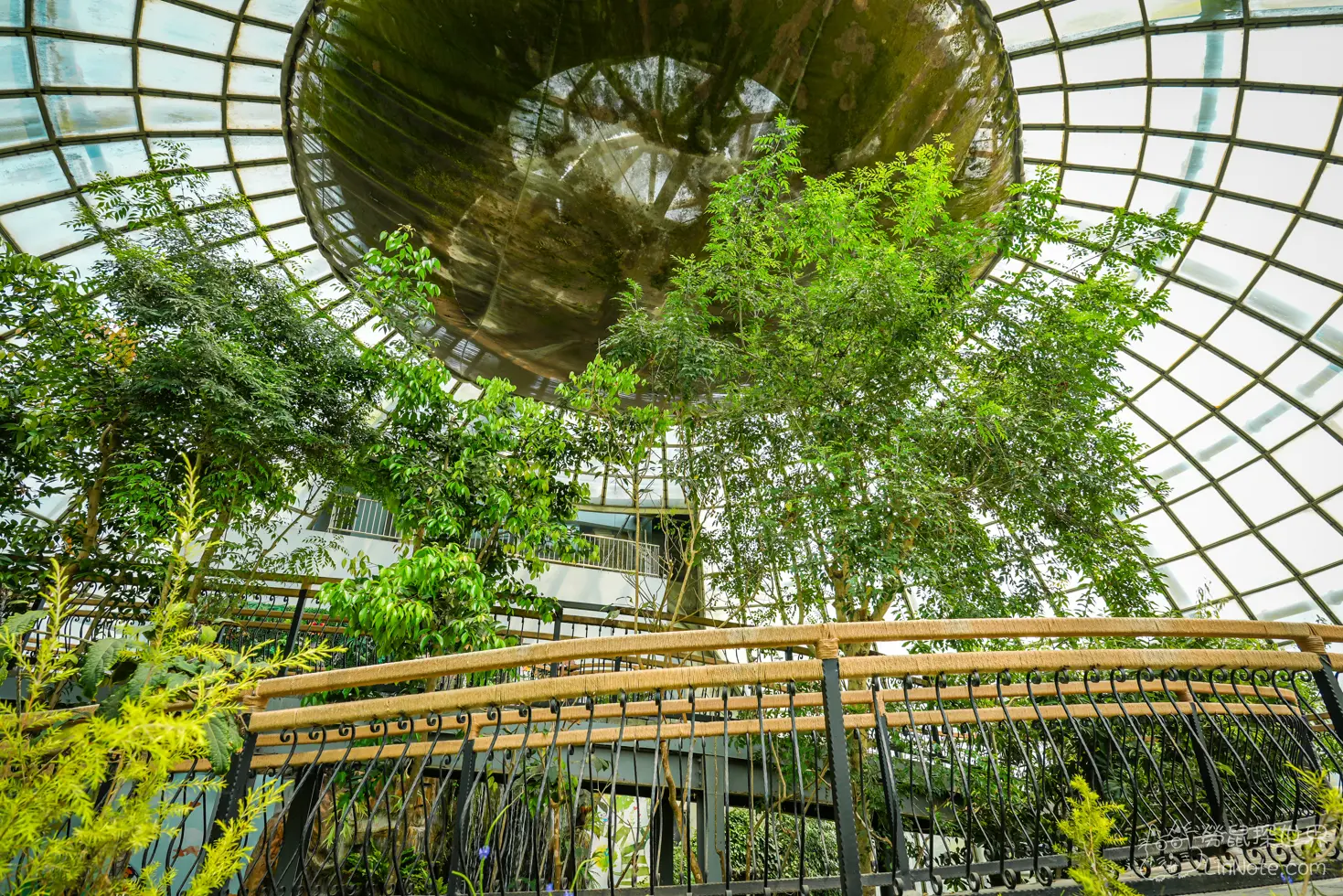 Ncyu insect museum 44