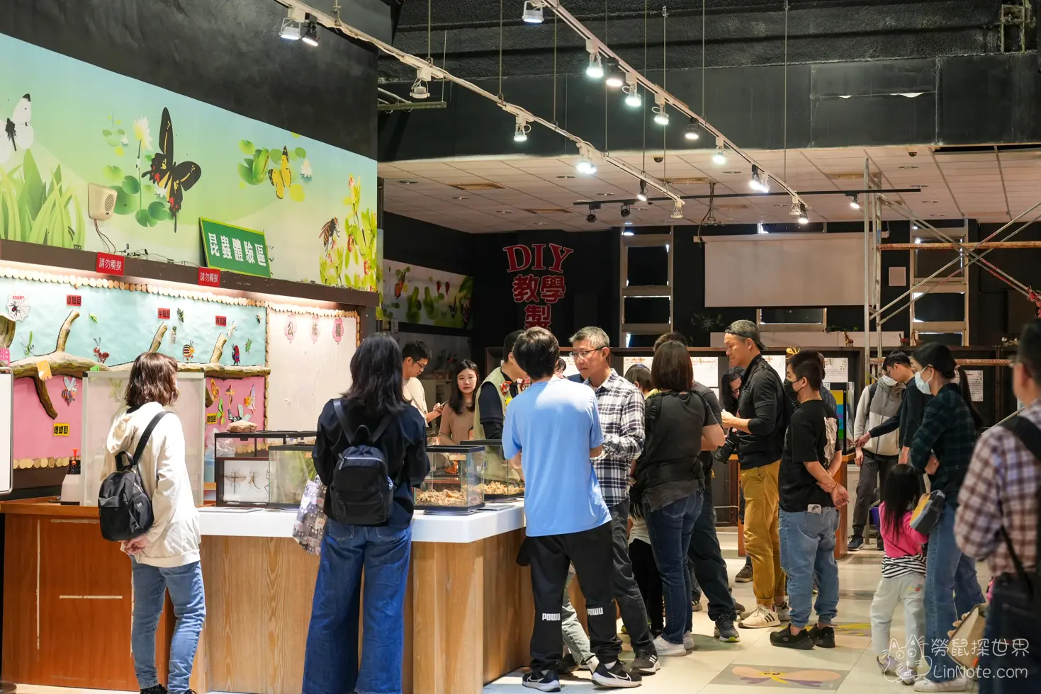 Ncyu insect museum 49