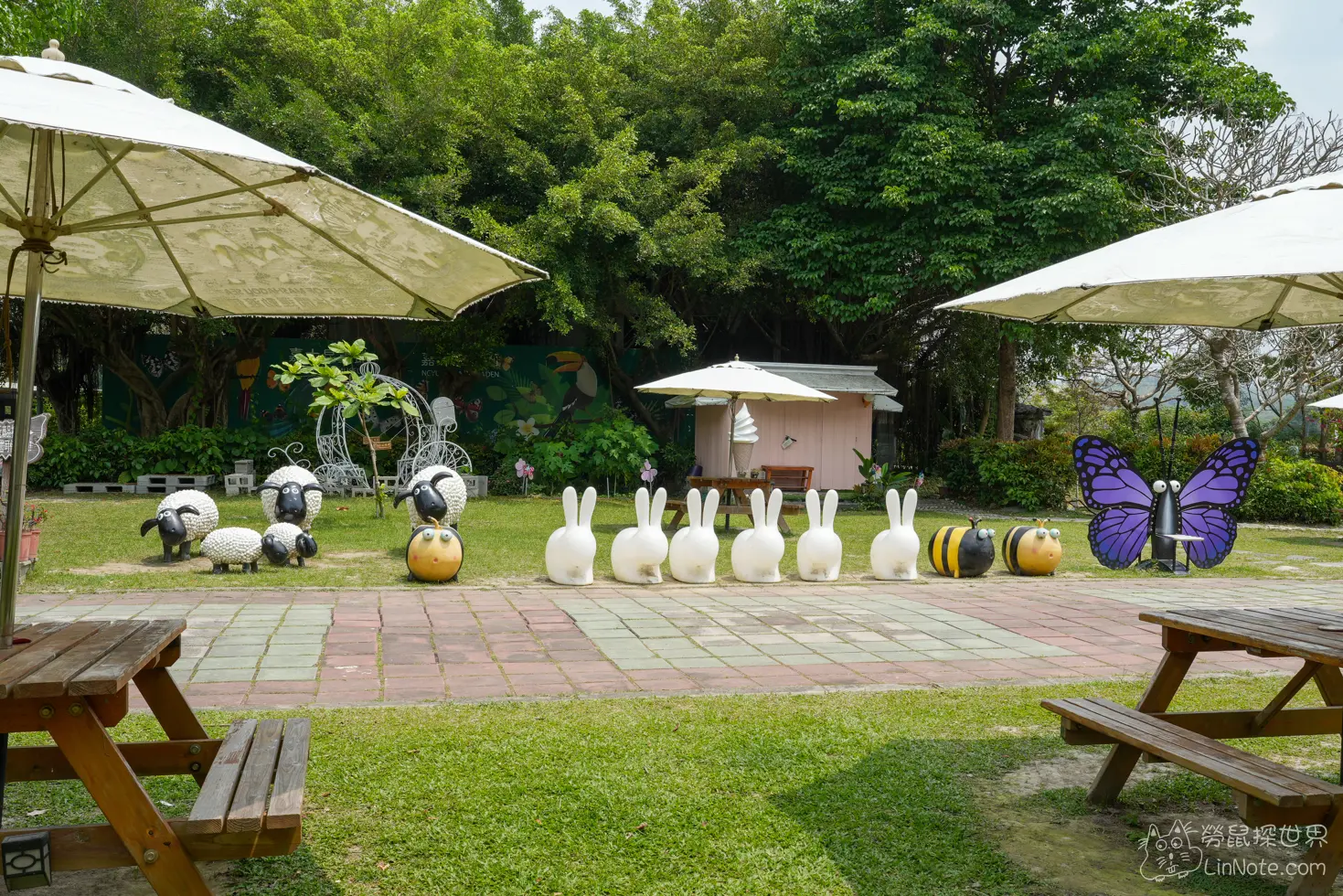 Ncyu insect museum 5