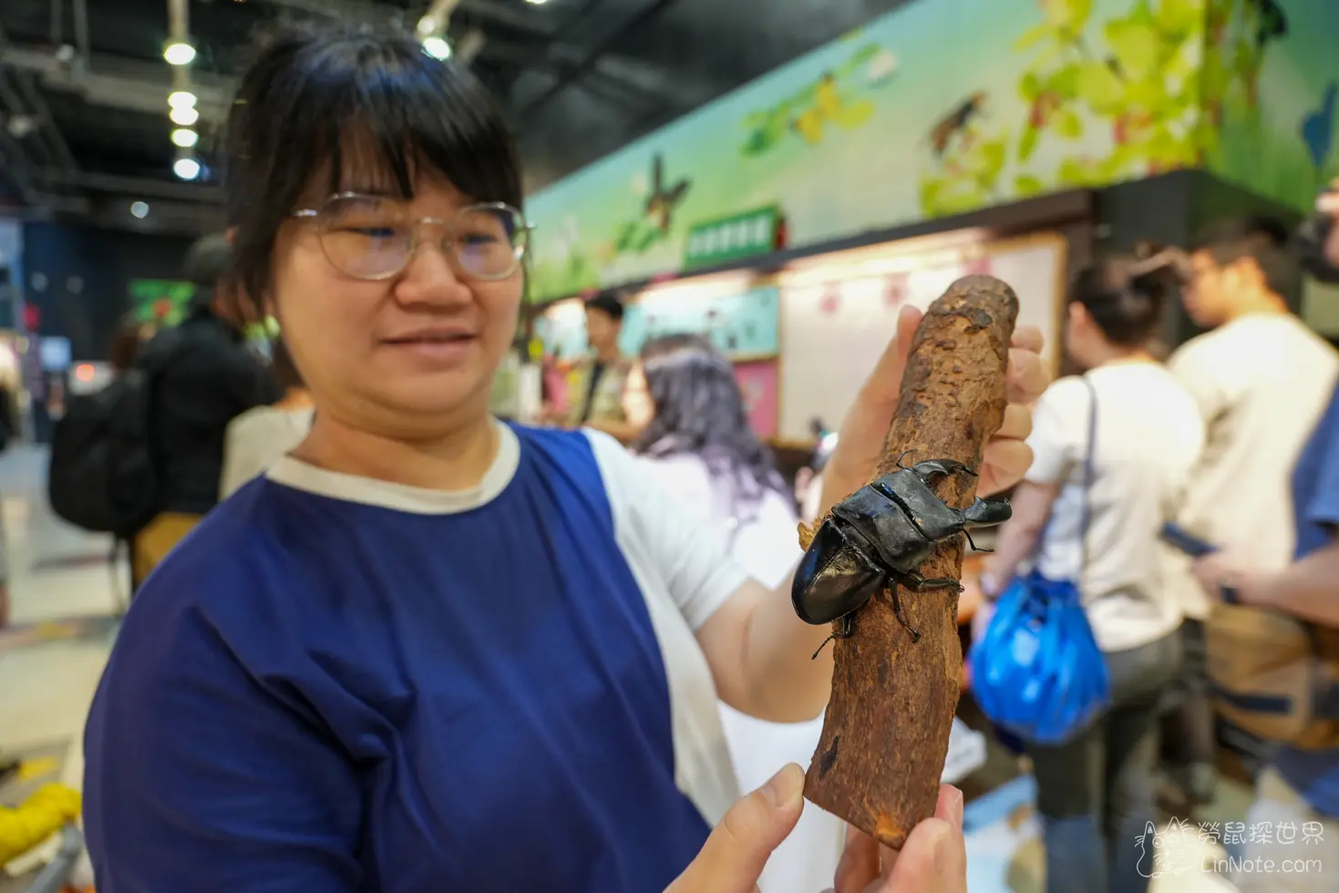 Ncyu insect museum 55