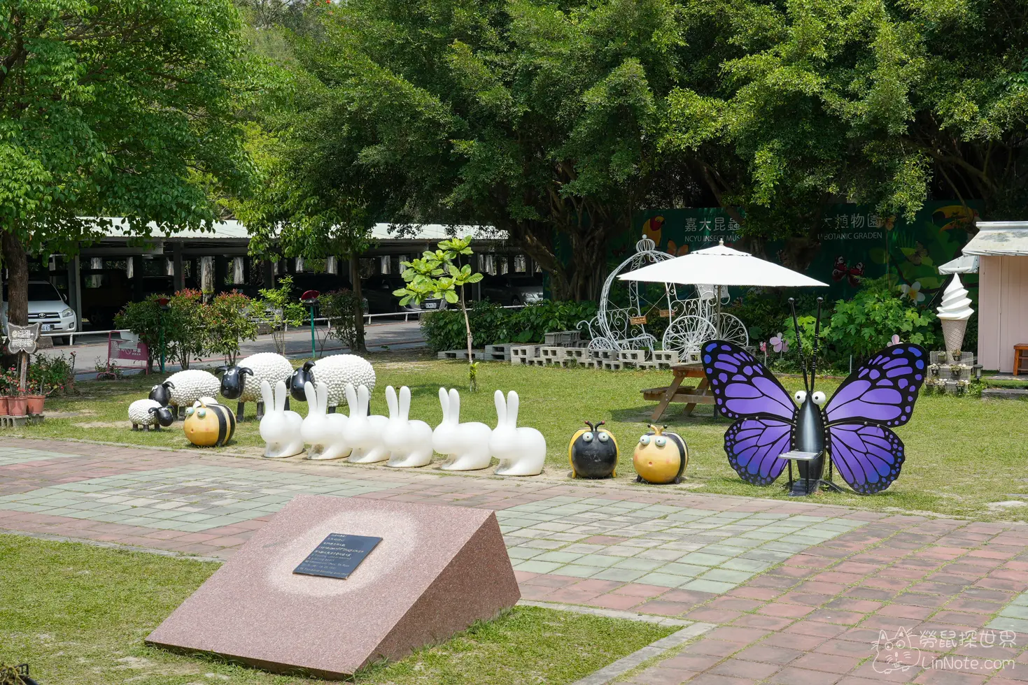 Ncyu insect museum 58