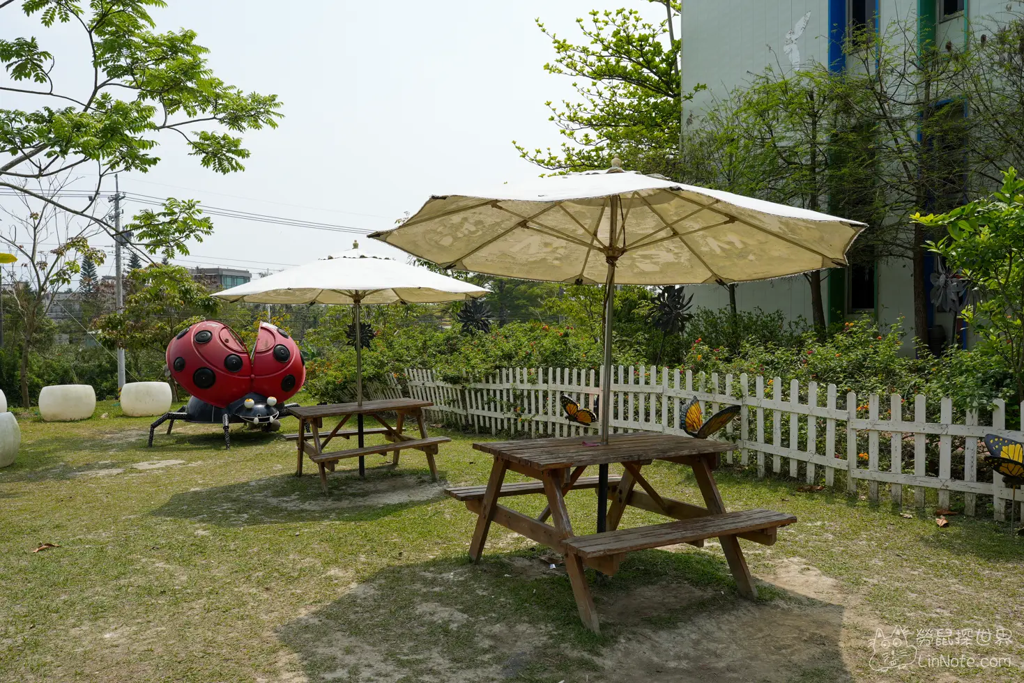 Ncyu insect museum 59