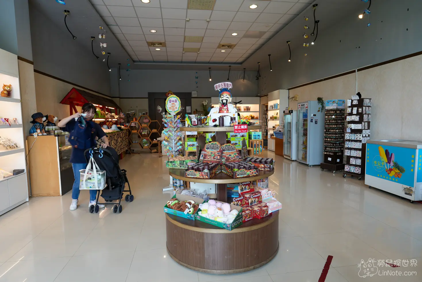 Ncyu insect museum 7