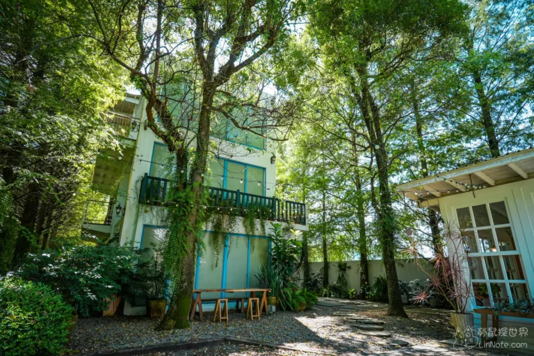 南投埔里慎重開華莊園民宿的白色建築與陽光灑落的落羽松庭院
